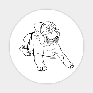 Drooly Mastiff (outline) Magnet